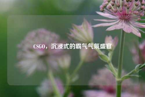 CSGO,沉浸式的霸气气氛盛宴