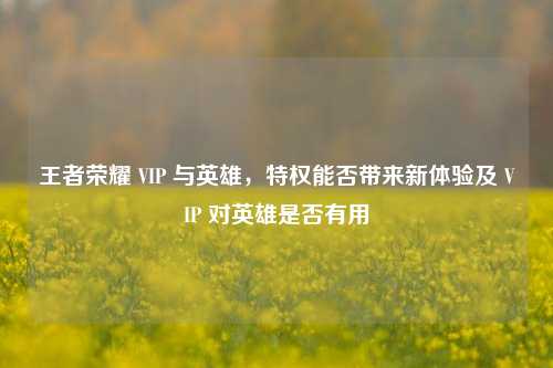 王者荣耀 VIP 与英雄,特权能否带来新体验及 VIP 对英雄是否有用