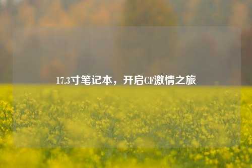 17.3寸笔记本,开启CF***之旅