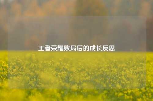 王者荣耀败局后的成长反思