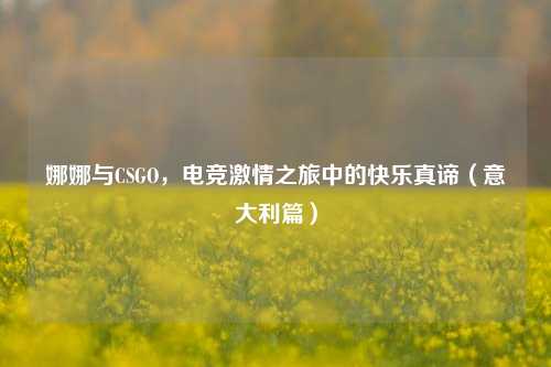 娜娜与CSGO,电竞***之旅中的快乐真谛(意大利篇)