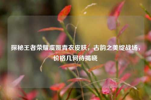 探秘王者荣耀虞姬青衣皮肤,古韵之美绽战场,价格几何待揭晓