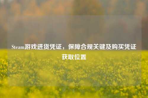 Steam游戏进货凭证,保障合规关键及购买凭证获取位置