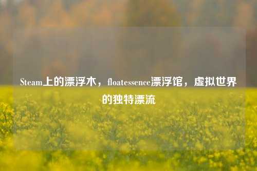 Steam上的漂浮木,floatessence漂浮馆,虚拟世界的独特漂流