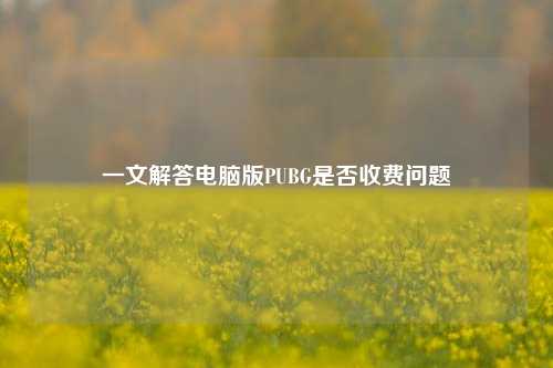 一文解答电脑版PUBG是否收费问题