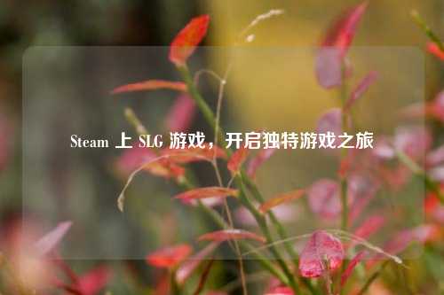 Steam 上 SLG 游戏,开启独特游戏之旅