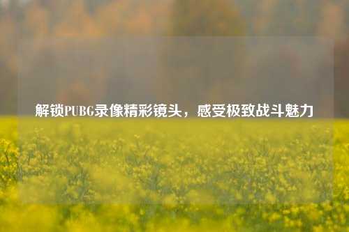 解锁PUBG录像精彩镜头,感受极致战斗魅力