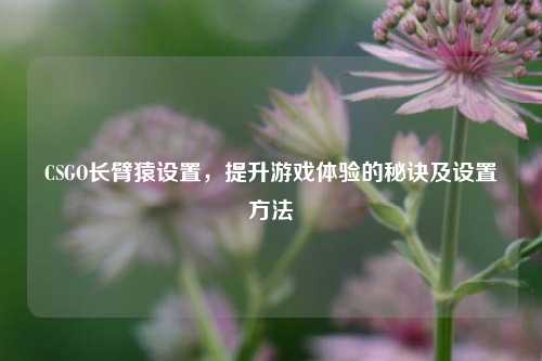 CSGO长臂猿设置,提升游戏体验的秘诀及设置 ***