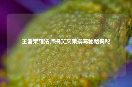 王者荣耀法师搞笑文案撰写秘籍揭秘