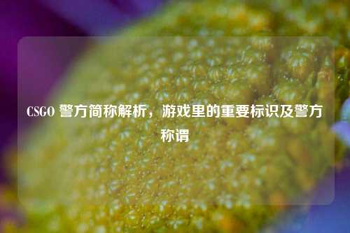 CSGO 警方简称解析,游戏里的重要标识及警方称谓