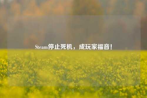 Steam停止死机,成玩家福音!