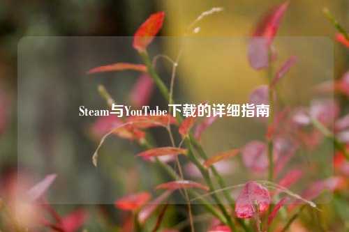 Steam与YouTube下载的详细指南