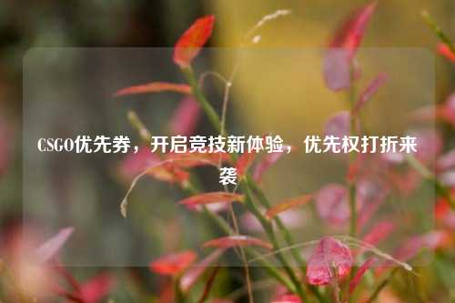 CSGO优先券,开启竞技新体验,优先权打折来袭