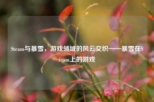 Steam与暴雪,游戏领域的风云交织——暴雪在Steam上的游戏