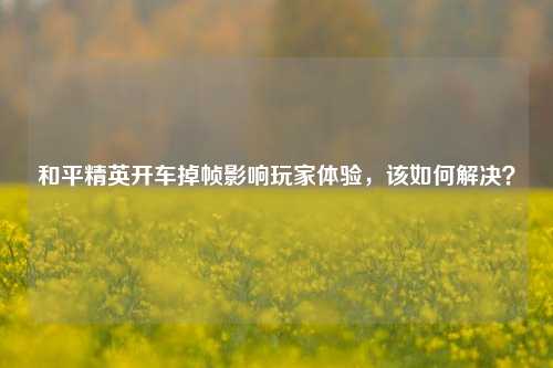 和平精英开车掉帧影响玩家体验,该如何解决?