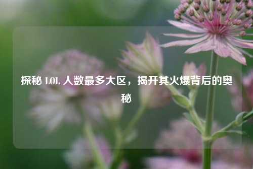 探秘 LOL 人数最多大区,揭开其火爆背后的奥秘