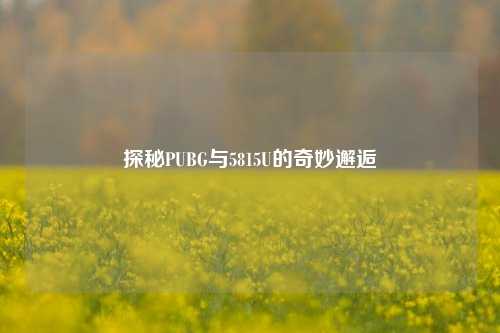 探秘PUBG与5815U的奇妙邂逅