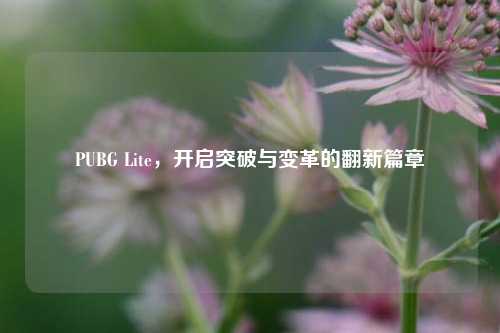 PUBG Lite,开启突破与变革的翻新篇章