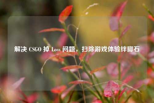 解决 CSGO 掉 Loss 问题,扫除游戏体验绊脚石