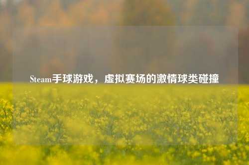 Steam手球游戏,虚拟赛场的***球类碰撞