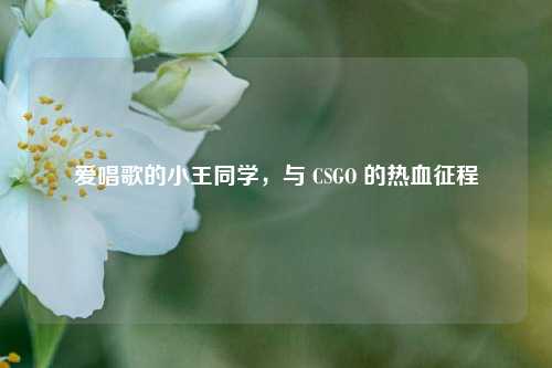 爱唱歌的小王同学,与 CSGO 的热血征程