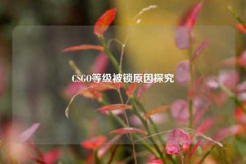 CSGO等级被锁原因探究