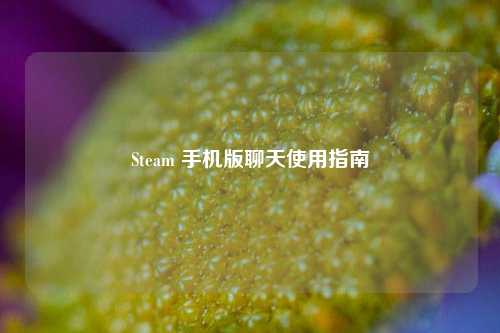Steam 手机版聊天使用指南