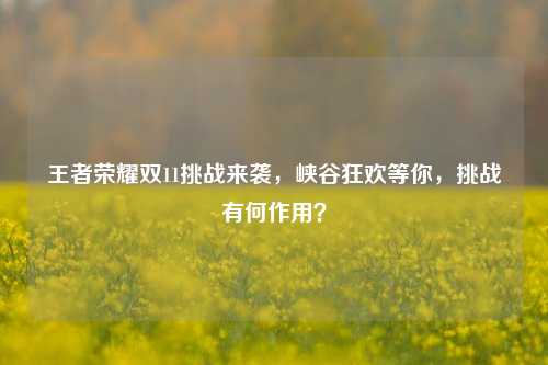 王者荣耀双11挑战来袭,峡谷狂欢等你,挑战有何作用?