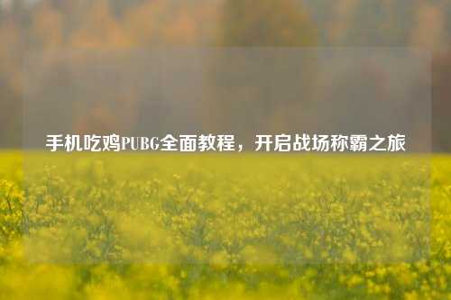 手机吃鸡PUBG全面教程,开启战场称霸之旅