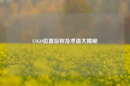 CSGO位置俗称及术语大揭秘