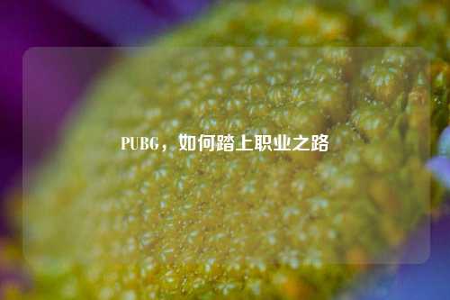 PUBG,如何踏上职业之路