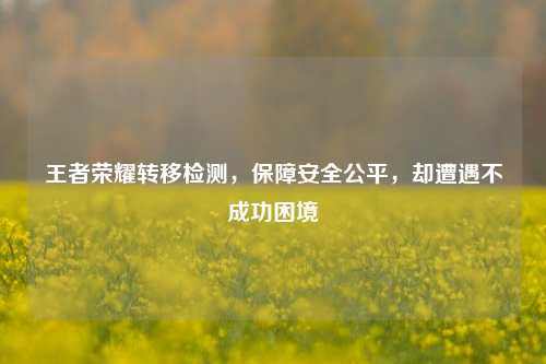王者荣耀转移检测,保障安全公平,却遭遇不成功困境