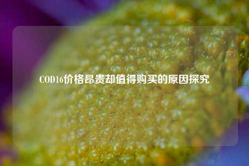 COD16价格昂贵却值得购买的原因探究