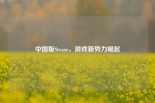 中国版Steam,游戏新势力崛起
