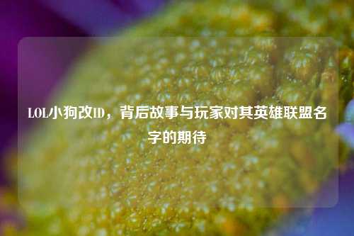 LOL小狗改ID,背后故事与玩家对其英雄联盟名字的期待