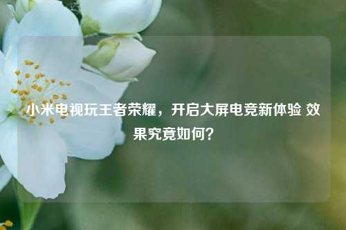 小米电视玩王者荣耀,开启大屏电竞新体验 效果究竟如何?