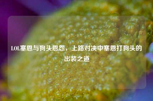 LOL塞恩与狗头恩怨,上路对决中塞恩打狗头的出装之道