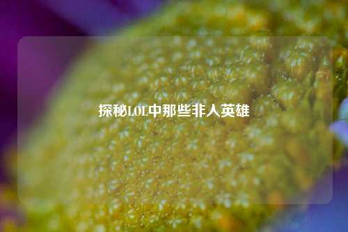 探秘LOL中那些非人英雄