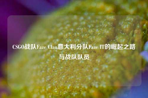 CSGO战队Faze Clan意大利分队Faze IT的崛起之路与战队队员