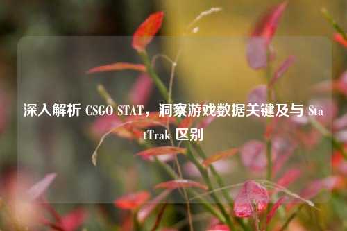 深入解析 CSGO STAT,洞察游戏数据关键及与 StatTrak 区别