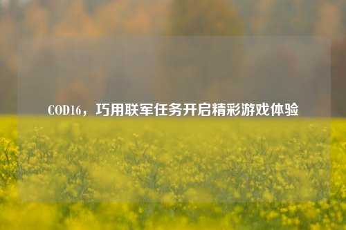 COD16,巧用联军任务开启精彩游戏体验