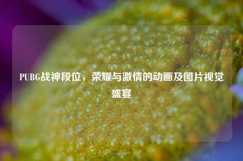 PUBG战神段位,荣耀与***的动画及图片视觉盛宴