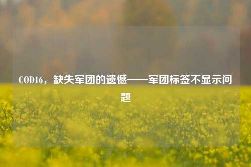 COD16,缺失军团的遗憾——军团标签不显示问题