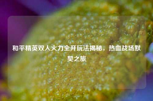 和平精英双人火力全开玩法揭秘,热血战场默契之旅