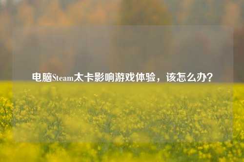 电脑Steam太卡影响游戏体验,该怎么办?