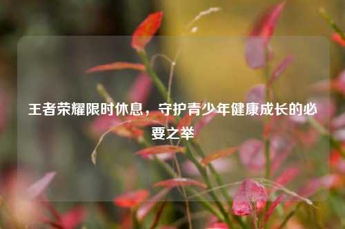 王者荣耀限时休息,守护青少年健康成长的必要之举