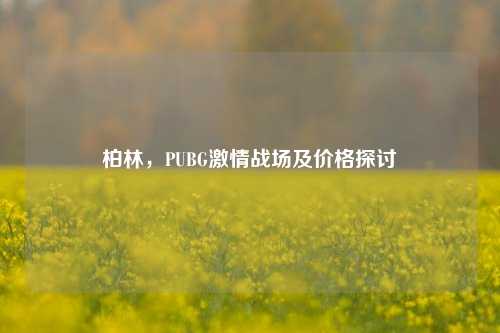 柏林,PUBG***战场及价格探讨