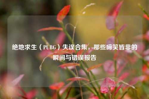 绝地求生(PUBG)失误合集,那些啼笑皆非的瞬间与错误报告