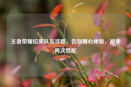 王者荣耀拉黑队友攻略,告别糟心体验,避免再次匹配