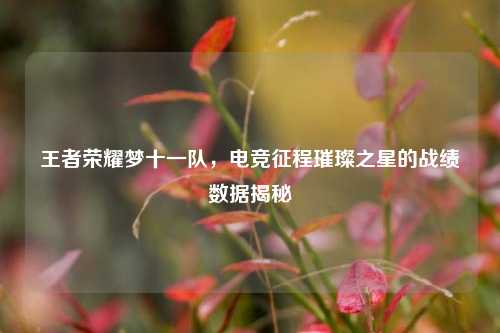 王者荣耀梦十一队,电竞征程璀璨之星的战绩数据揭秘